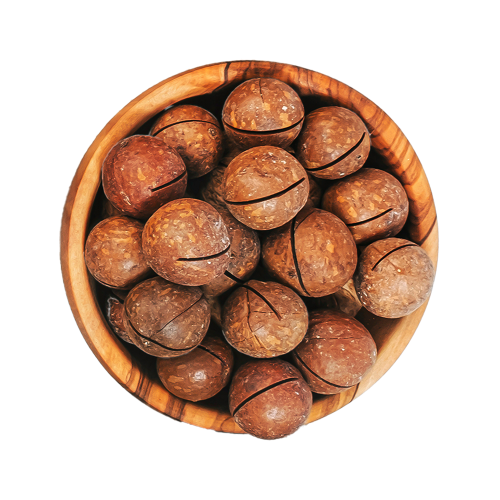 Macadamia