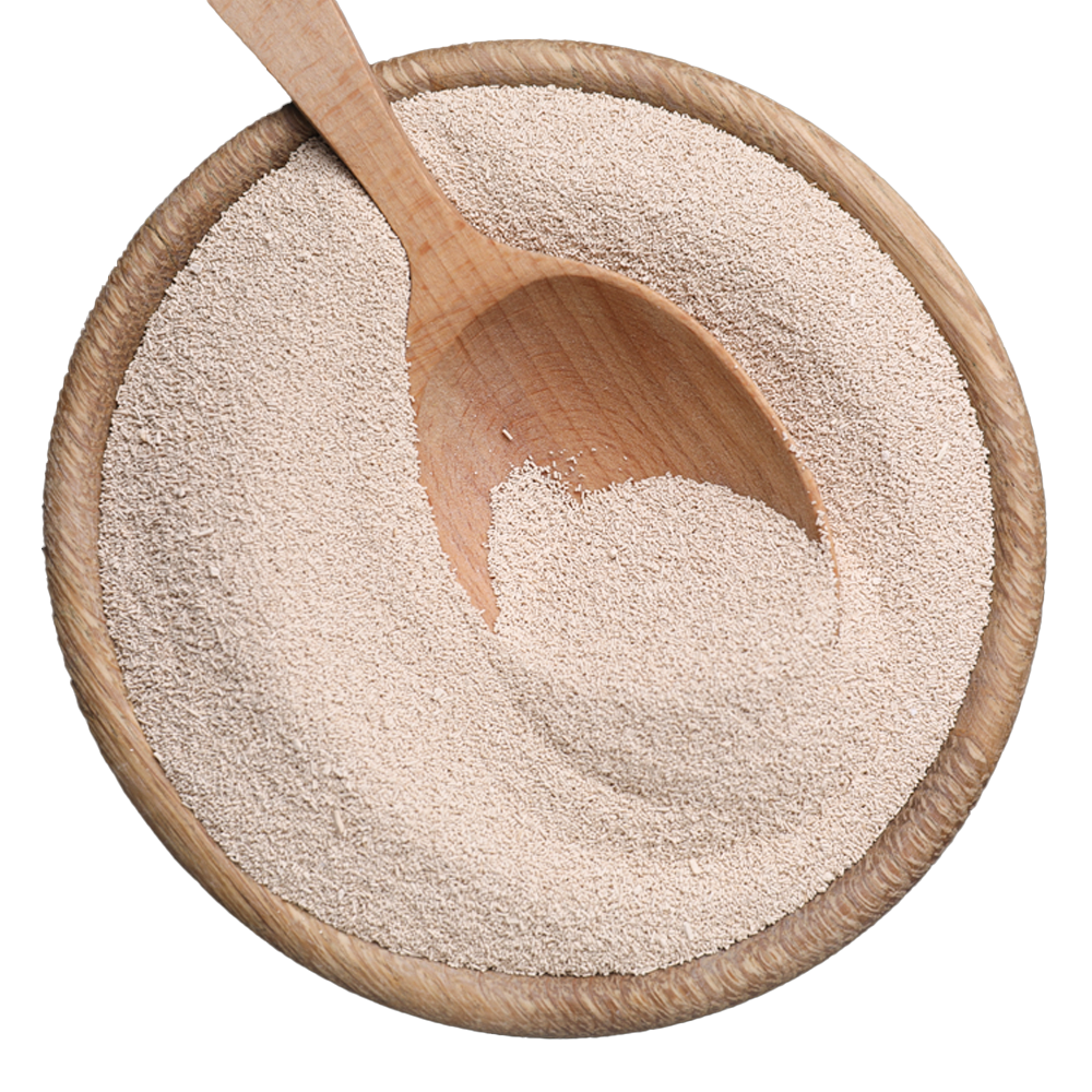 Yeast