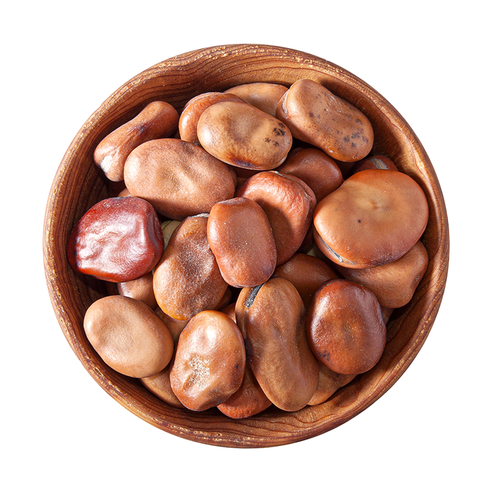 Fava Beans