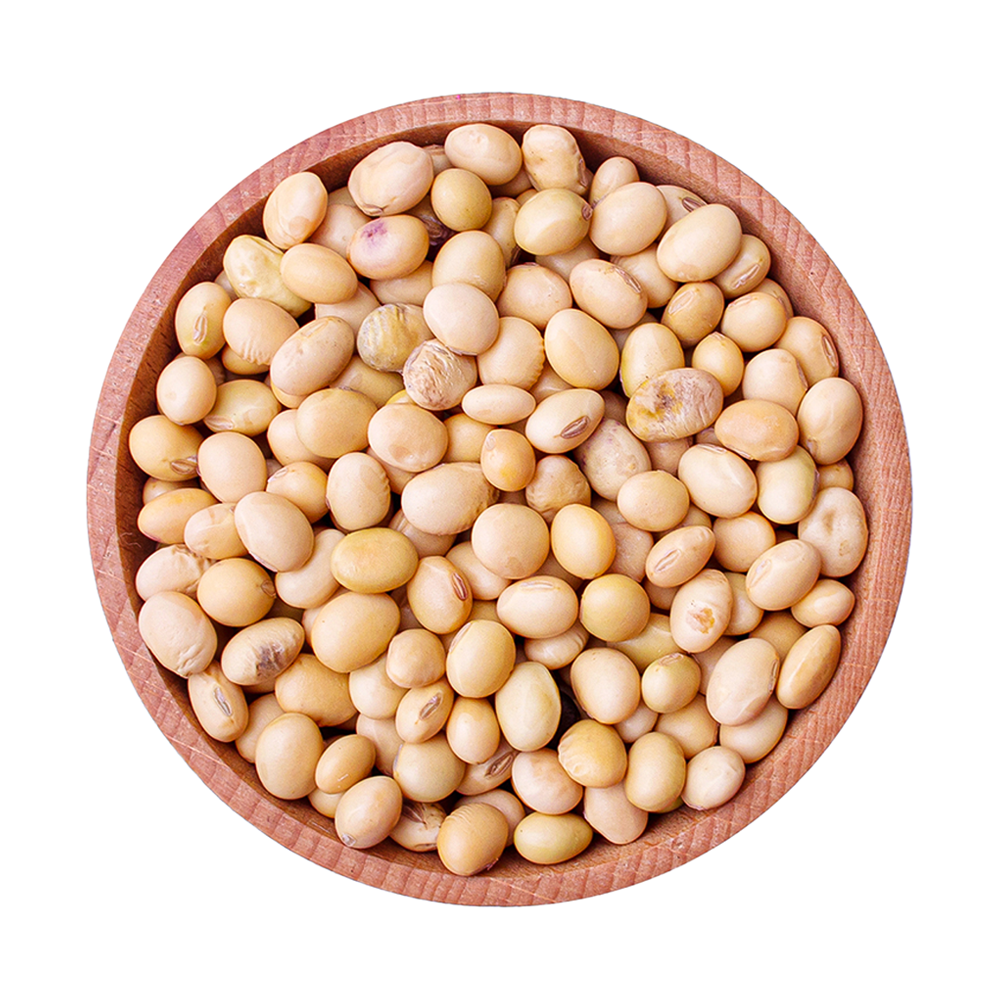 Lupin Bean