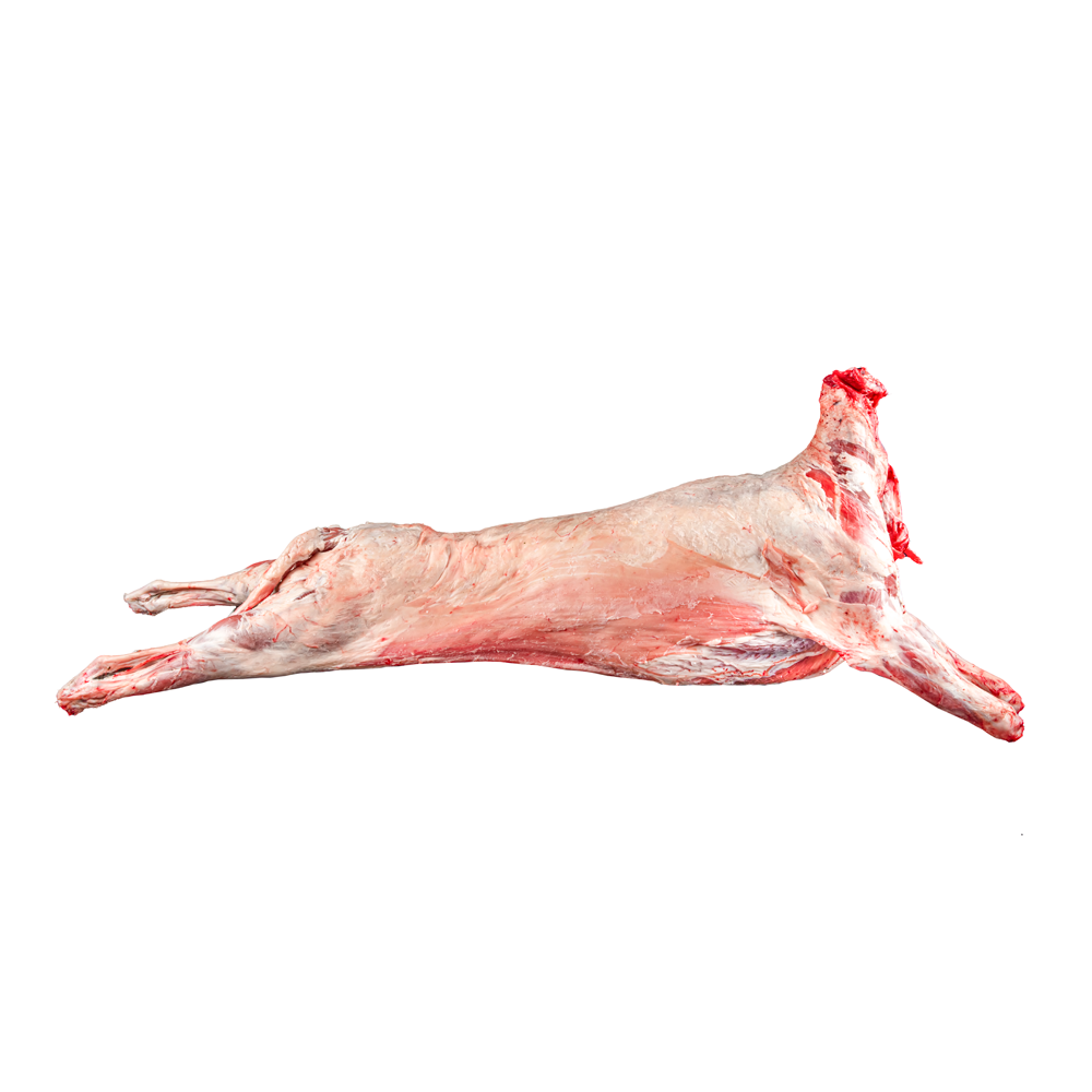 Whole Lamb