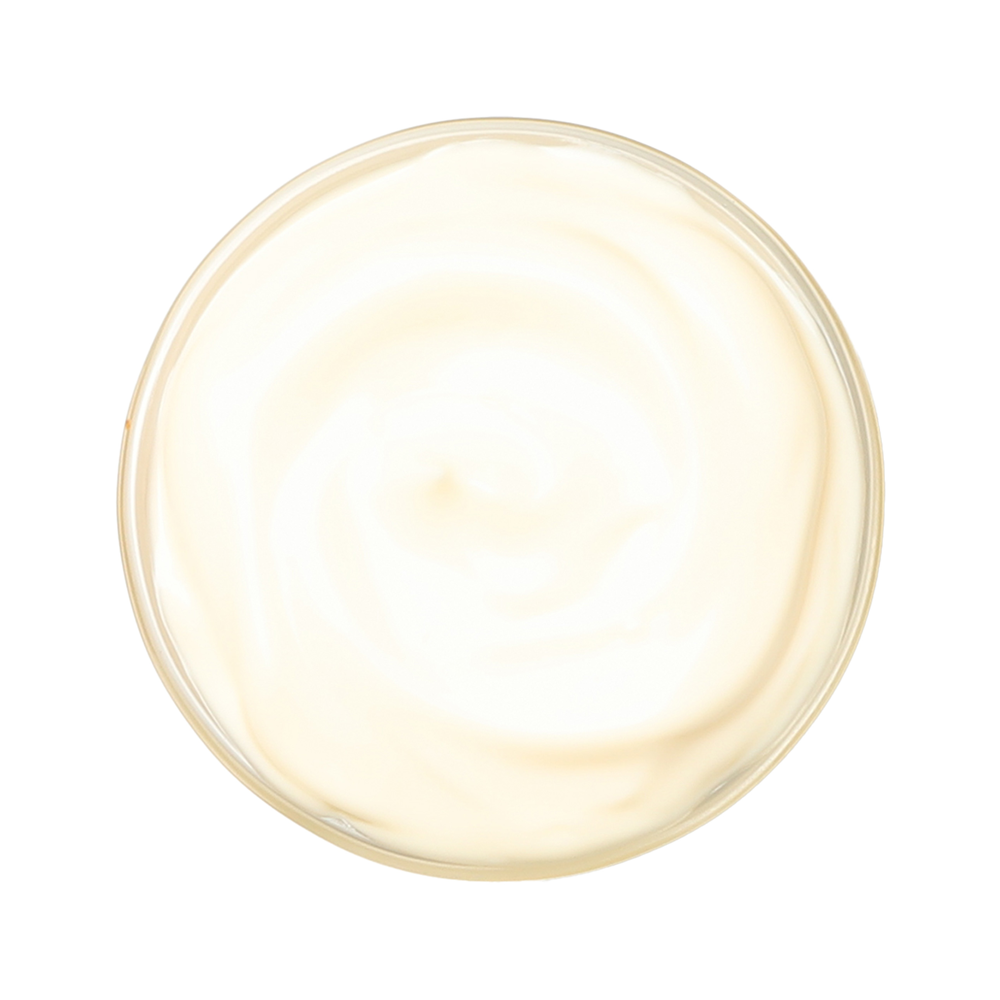 Bechamel Sauce