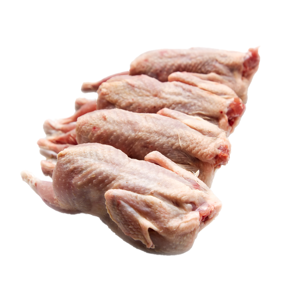Quail