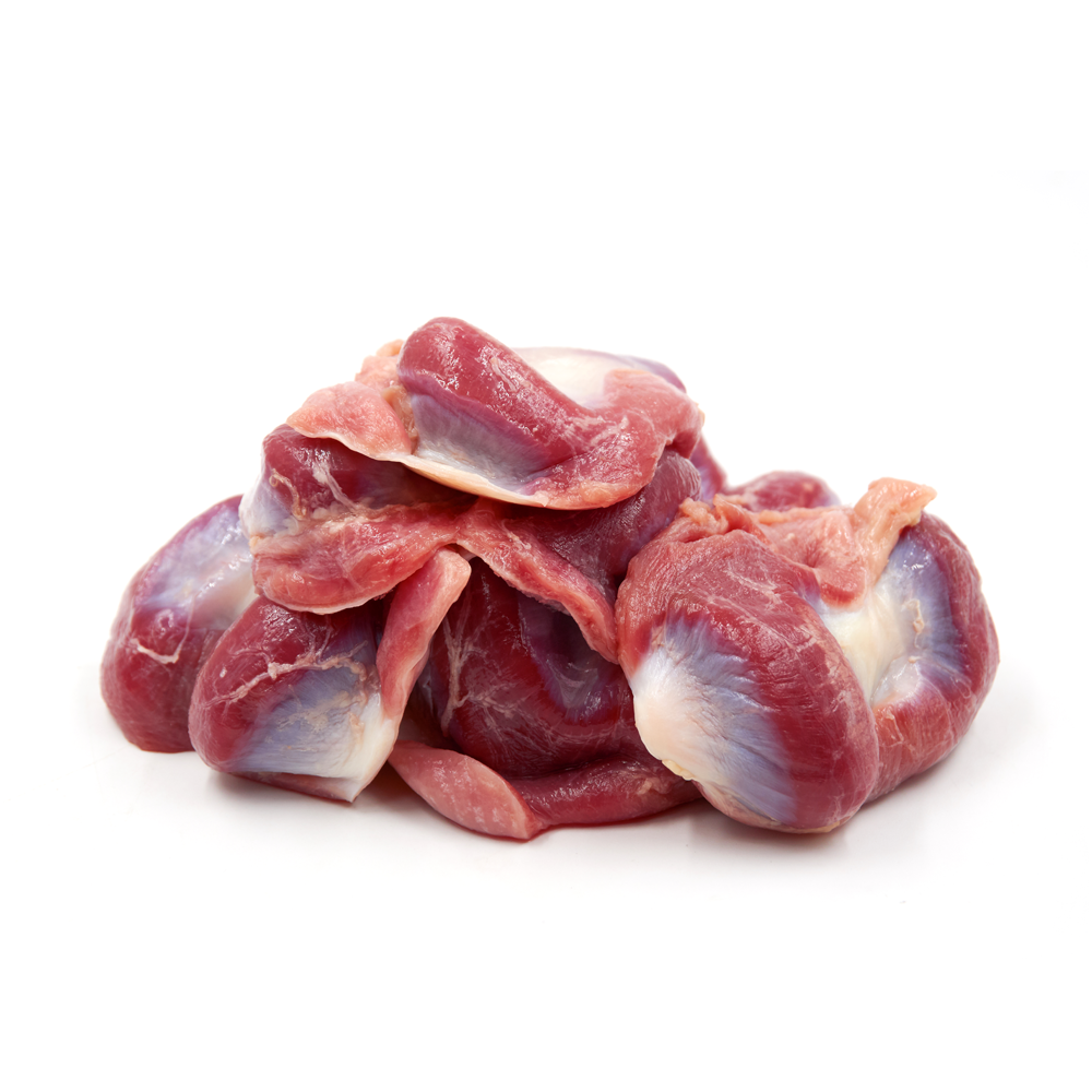 Gizzard