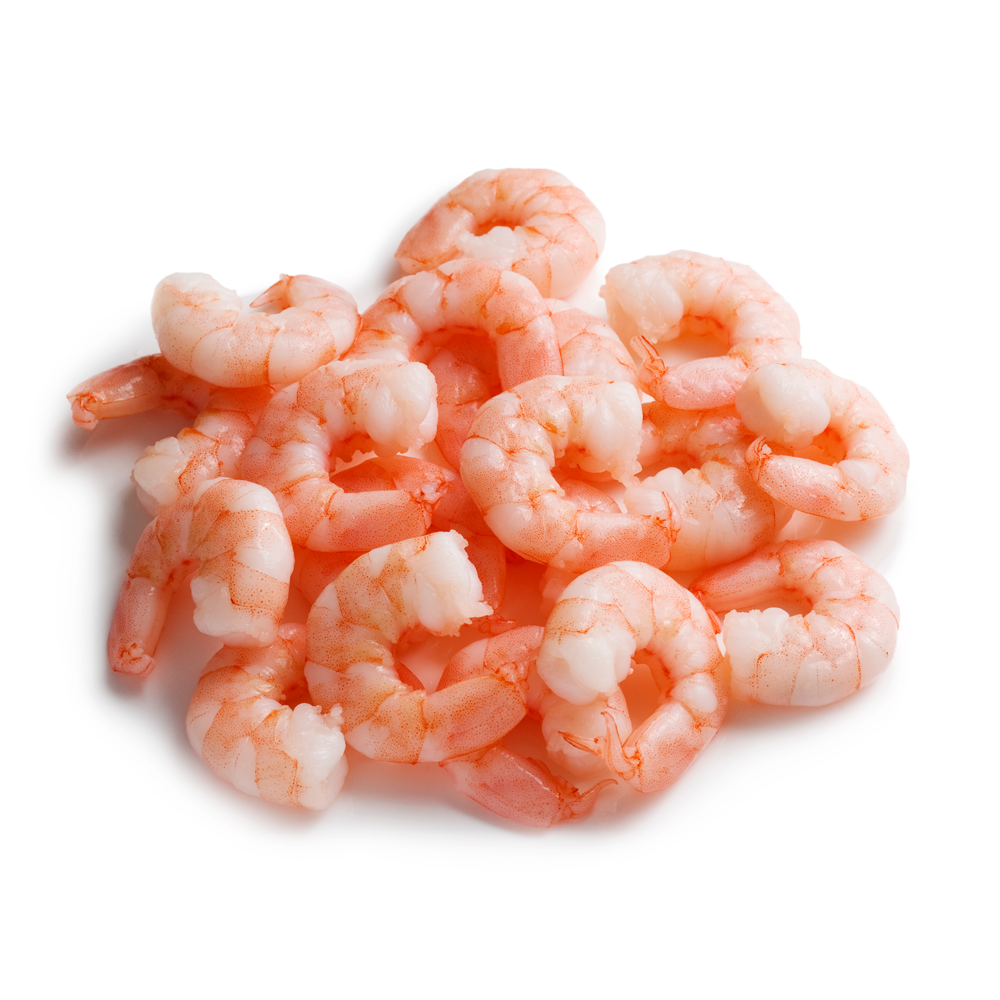 Shrimp