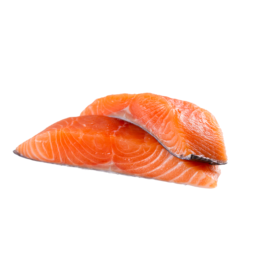 Salmon