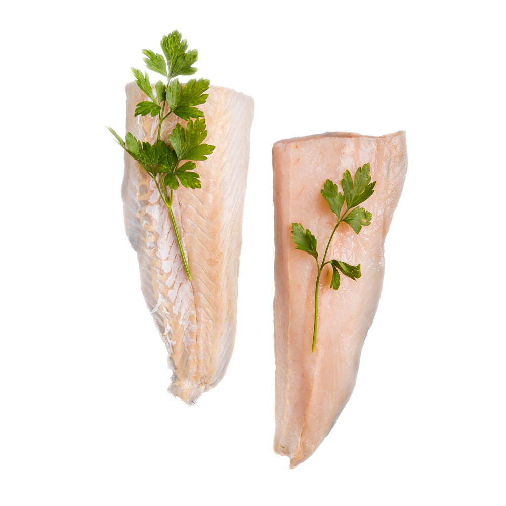 Sea Bass