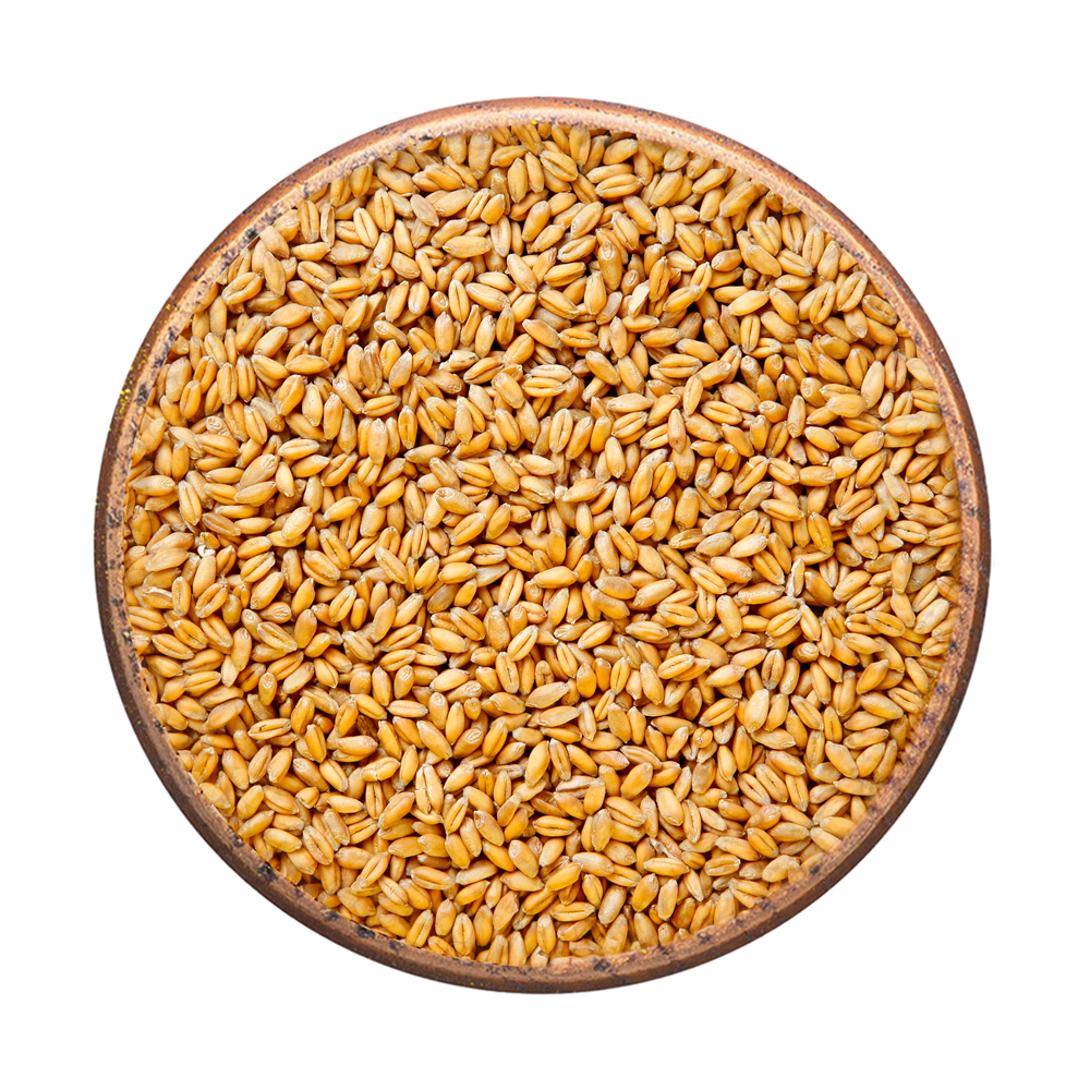 Wheat Soup