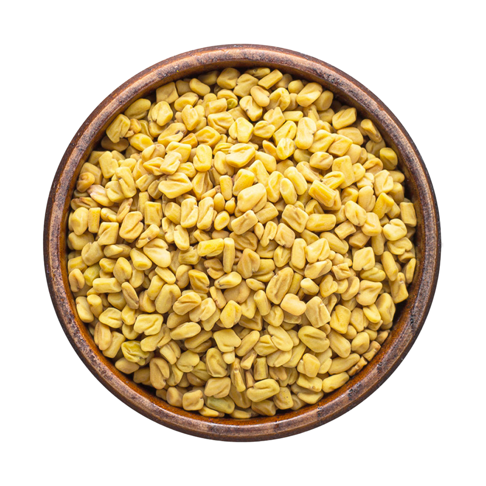 Fenugreek
