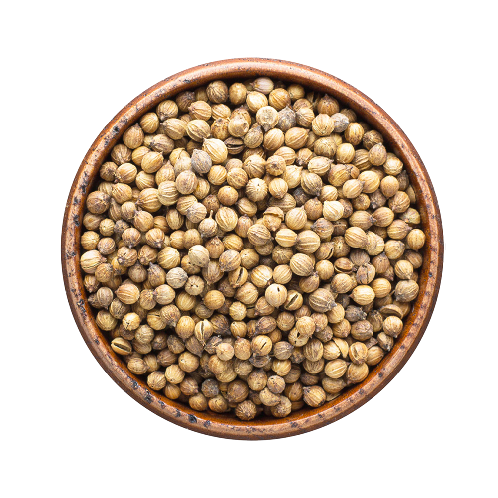 Dry Coriander