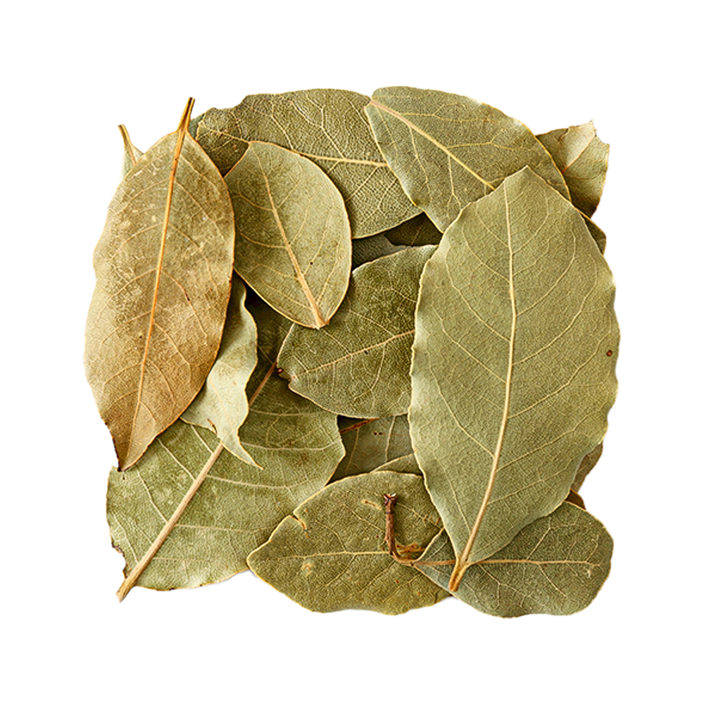 Bay Leaf